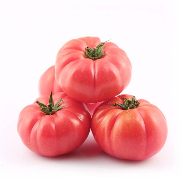DOMATES PEMBE 