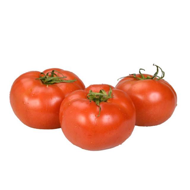 DOMATES TARLA 